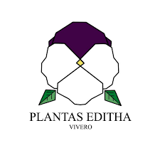 Logo Plantas Editha